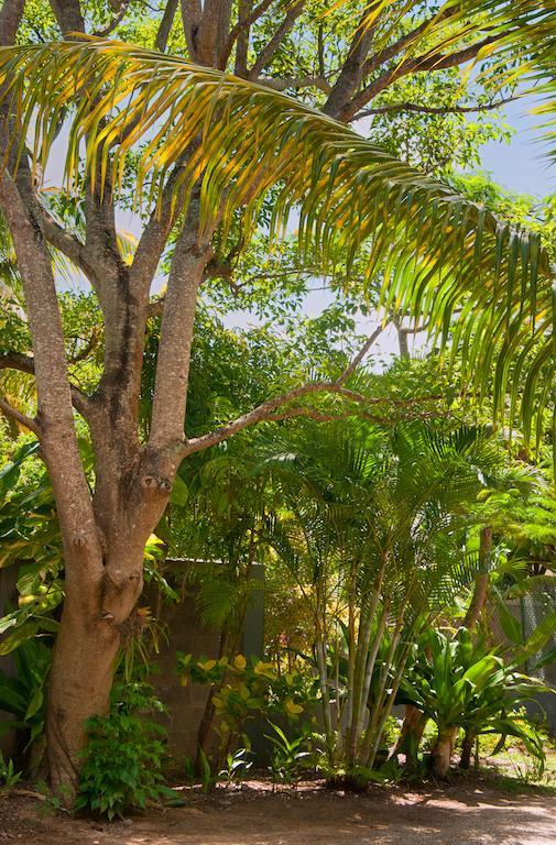Вілла Gardens Retreat Pereybere Beach Екстер'єр фото